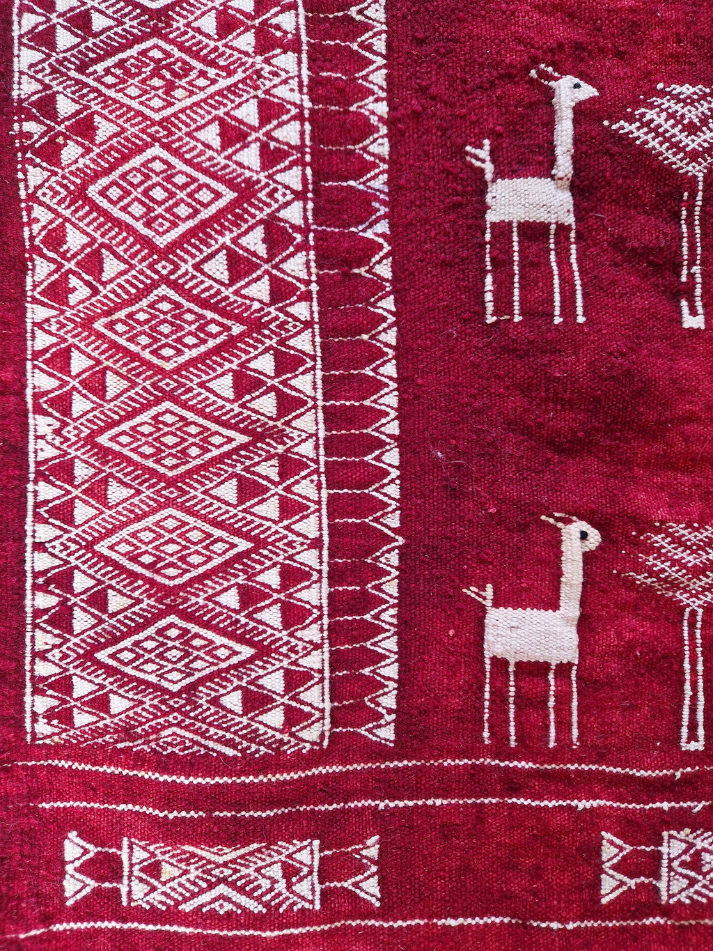 Antique Tunisian Wedding Shawl: Woven Wool Blanket, Animal Motifs, Tribal Art