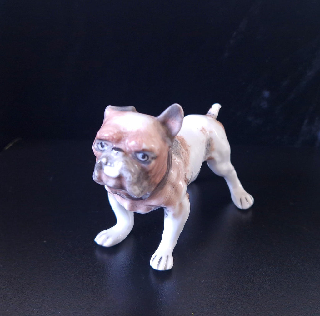 Early 20th Century Hand Painted Ceramic English Bulldog Figure 12cm