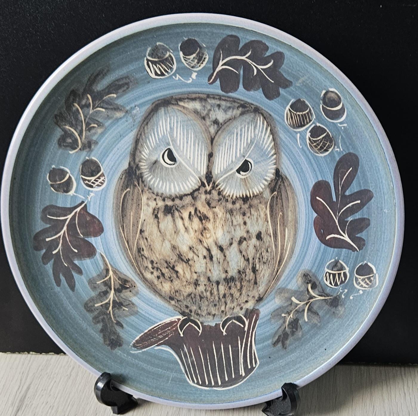 Vintage Decorative Handmade Owl Plate Wimborne Pottery Made in England Owl Gift 24cm Diameter