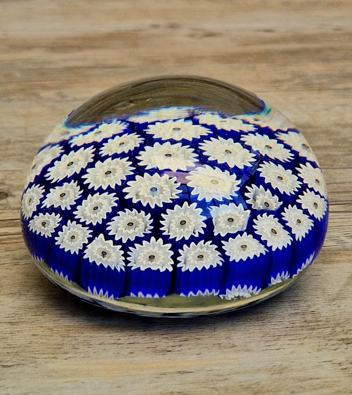 ALT Studio Murano Glass Deep Blue & White Star Flower Millifiore Paperweight