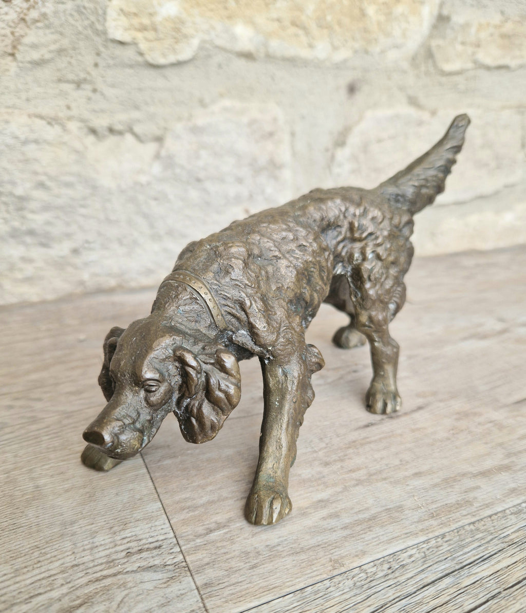 Antique 19th C. Cast Bronze Sculpture Of A Hunting Irish Setter Dog 22cm VGC
