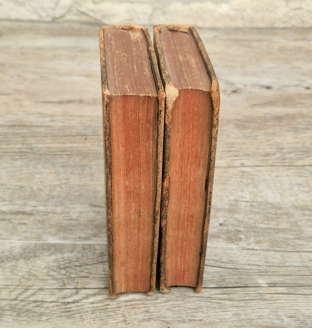 La Vie D'Oliver Cromwell 1746 Gregoire Leti Very Rare 2 Volume Antiquarian Book French