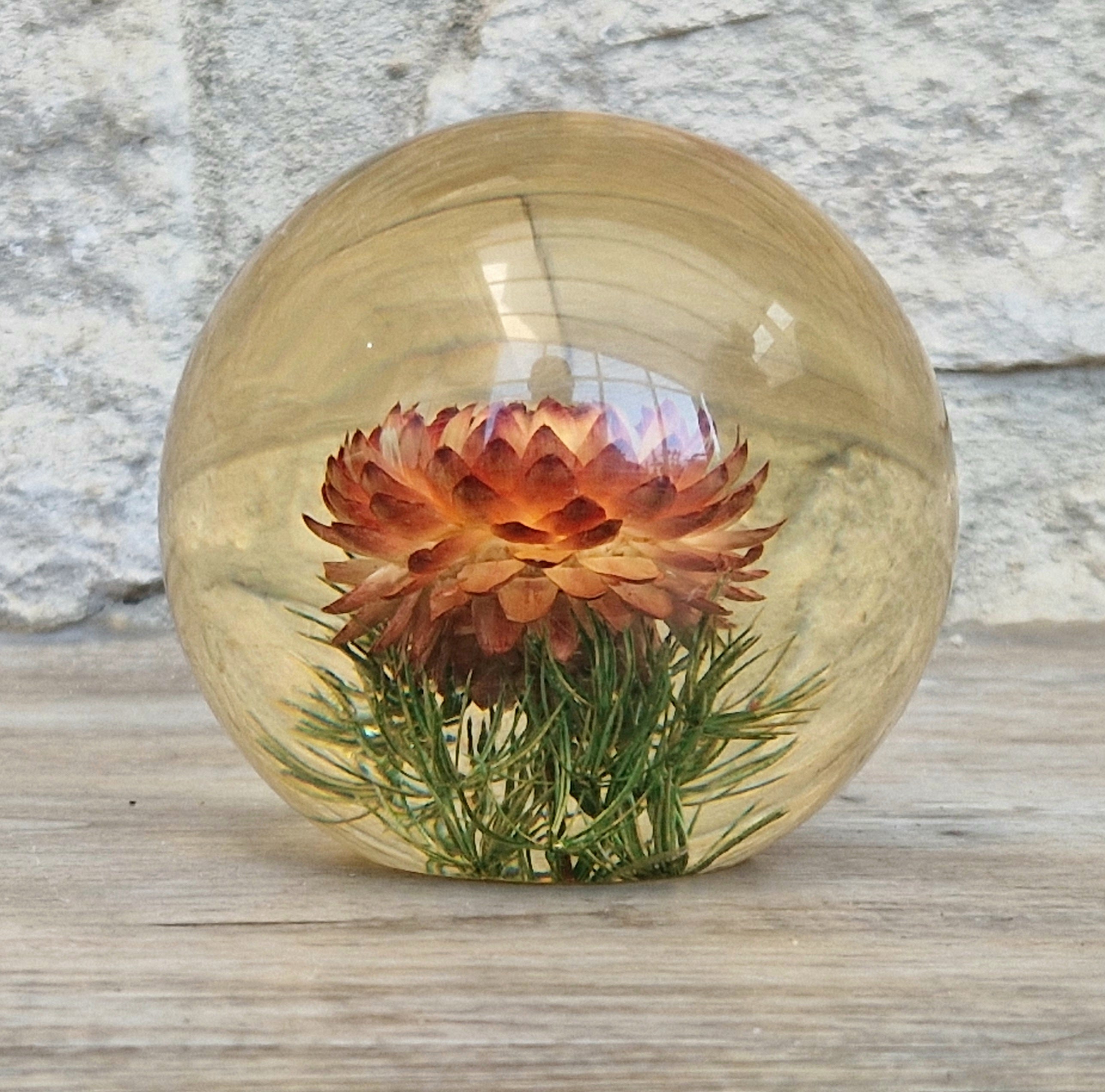 Vintage Hippocampus Embedments Orange Strawflower (Helichrysum) Lucite Paperweight 8cm