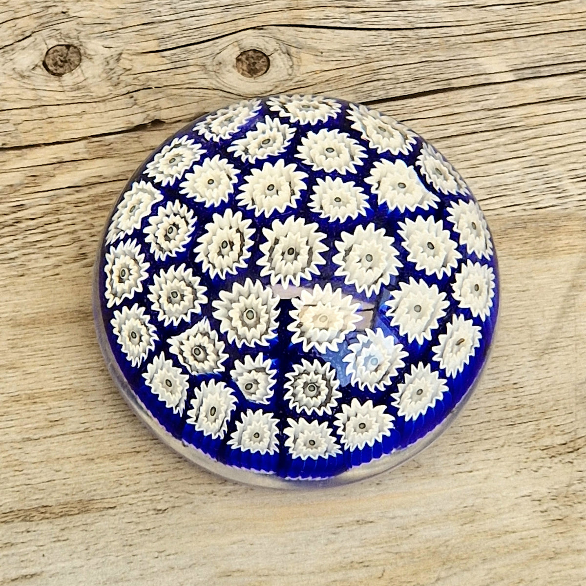 ALT Studio Murano Glass Deep Blue & White Star Flower Millifiore Paperweight