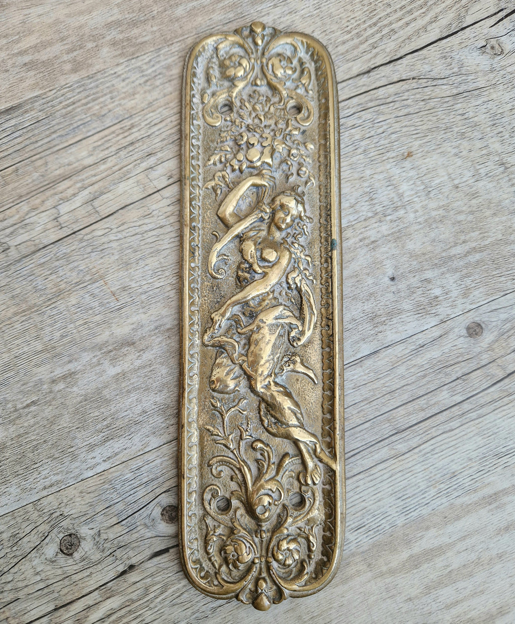 Cast Brass Art Nouveau Figural Relief Large Door Push Finger Plate Antique
