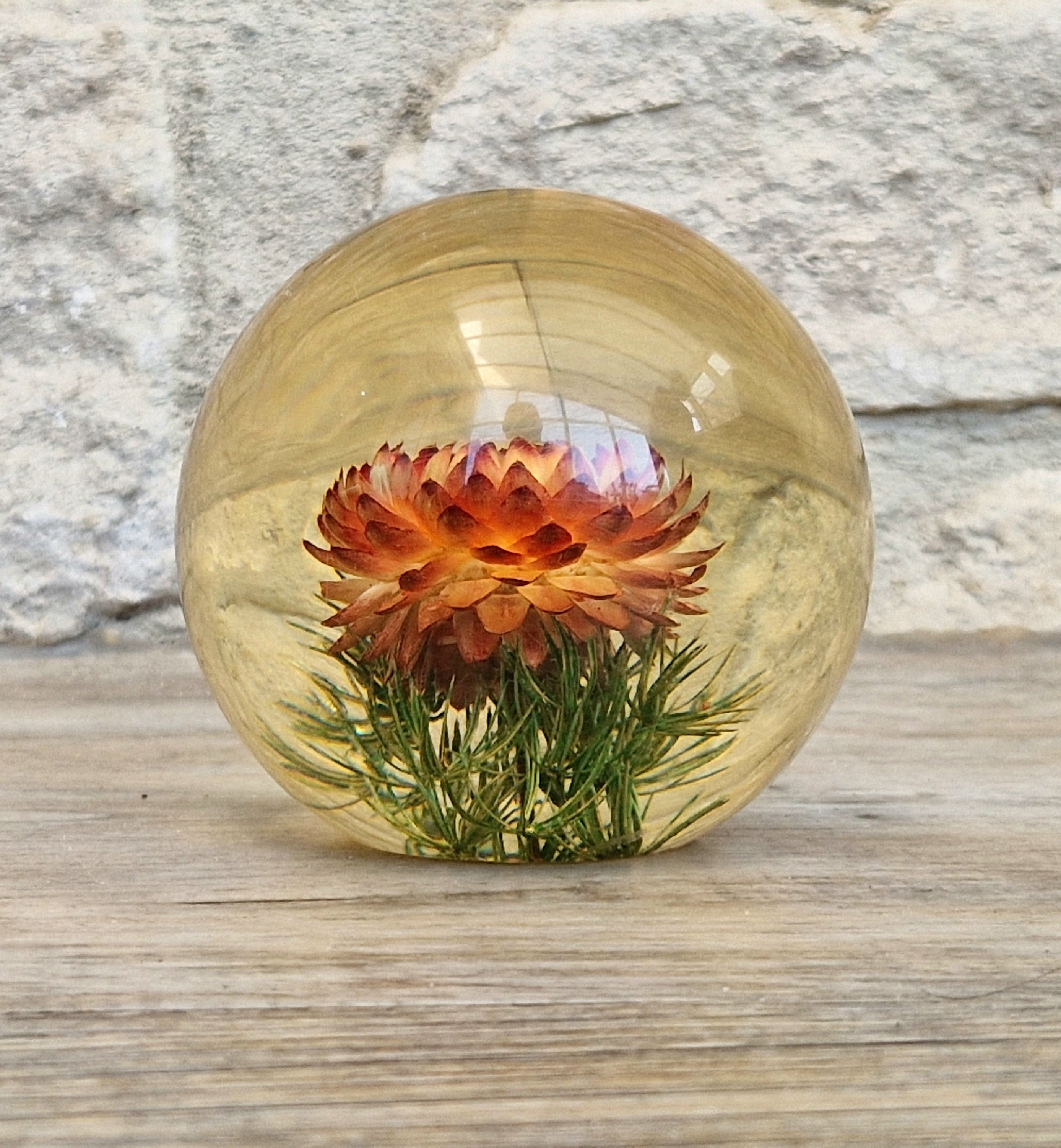 Vintage Hippocampus Embedments Orange Strawflower (Helichrysum) Lucite Paperweight 8cm