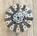 Strathearn Art Glass Paperweight 11 Spoke Millefiori with Filligree on Purple Ground Vintage