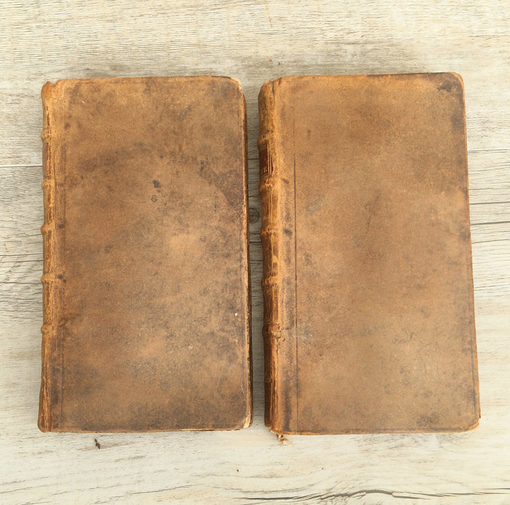 La Vie D'Oliver Cromwell 1746 Gregoire Leti Very Rare 2 Volume Antiquarian Book French